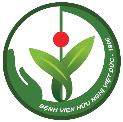 VDUHSC 2025 Logo